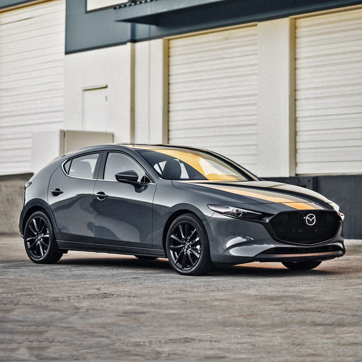 Diamond Detail Package